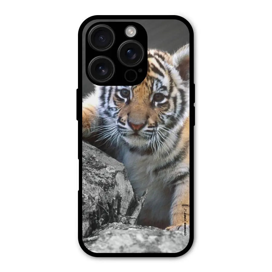 Animal Beauty Shockproof Hybrid Protection (Metal + TPU) Back Case Cover CoversCart