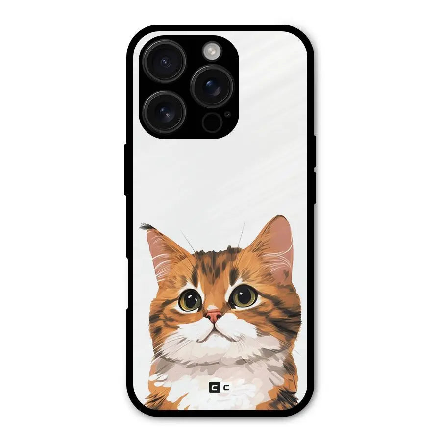The Cute Cat Shockproof Hybrid Protection (Metal + TPU) Back Case Cover CoversCart
