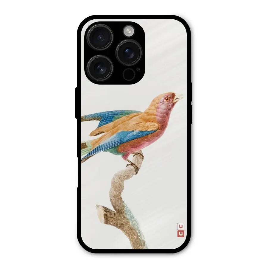 Beautiful Bird Shockproof Hybrid Protection (Metal + TPU) Back Case Cover CoversCart
