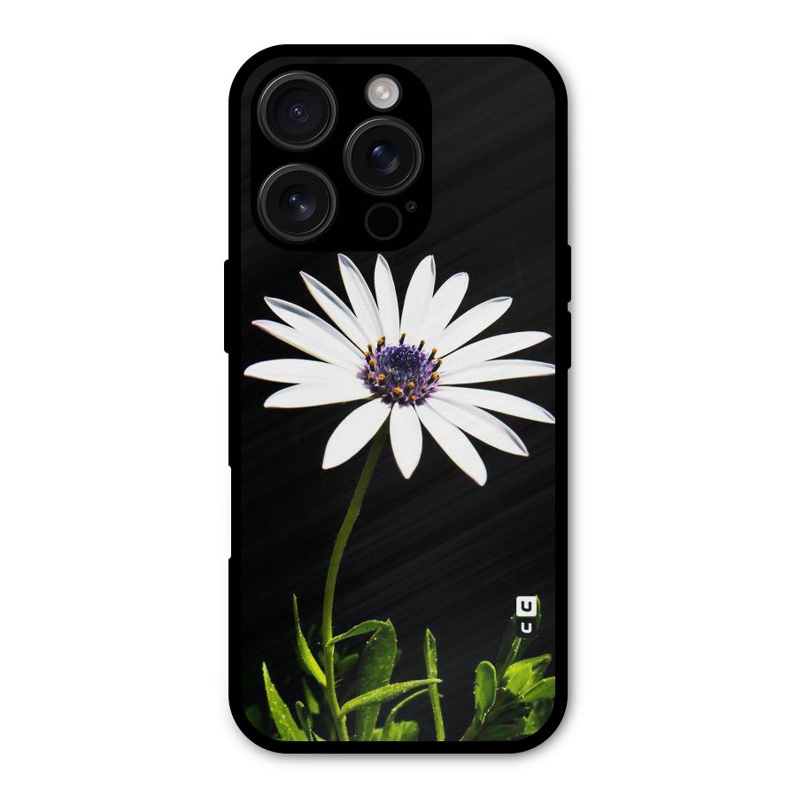 Flower White Spring Shockproof Hybrid Protection (Metal + TPU) Back Case Cover