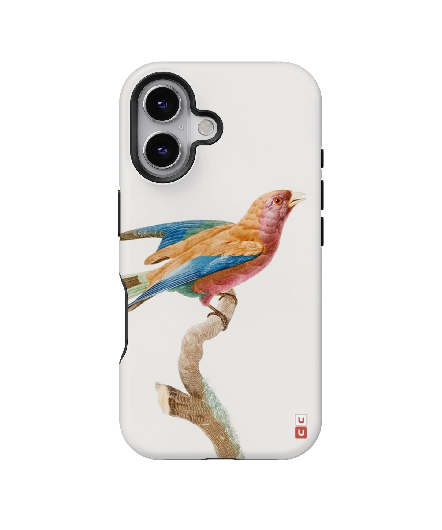 Beautiful Bird MagSafe Bumper Case