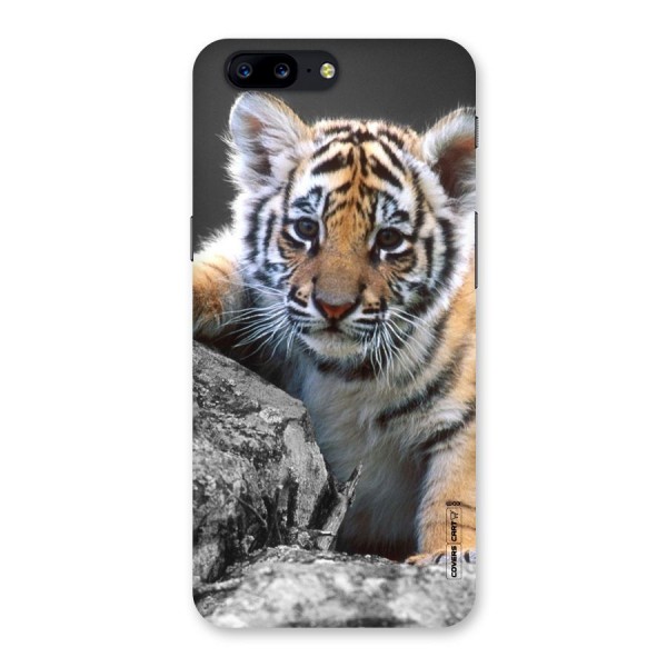 Animal Beauty Back Case for OnePlus 5