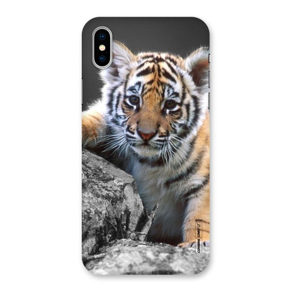 Animal Beauty Back Case for iPhone X