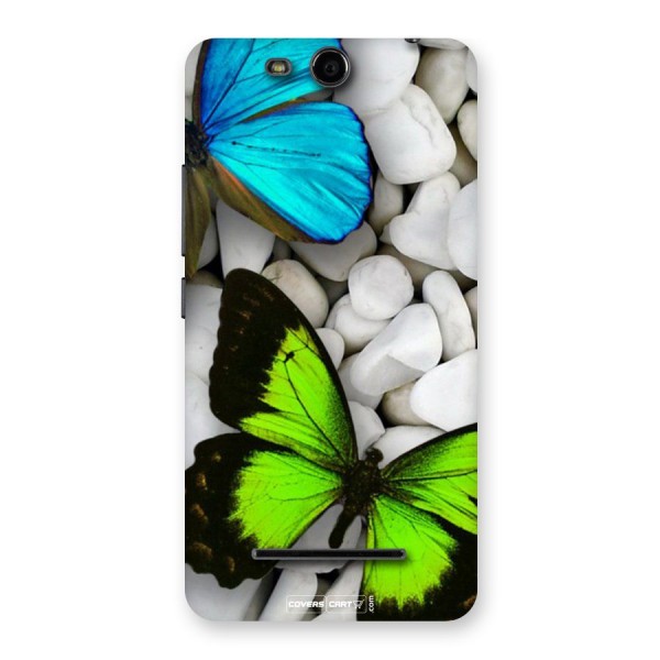 Beautiful Butterflies Back Case for Canvas Juice 3