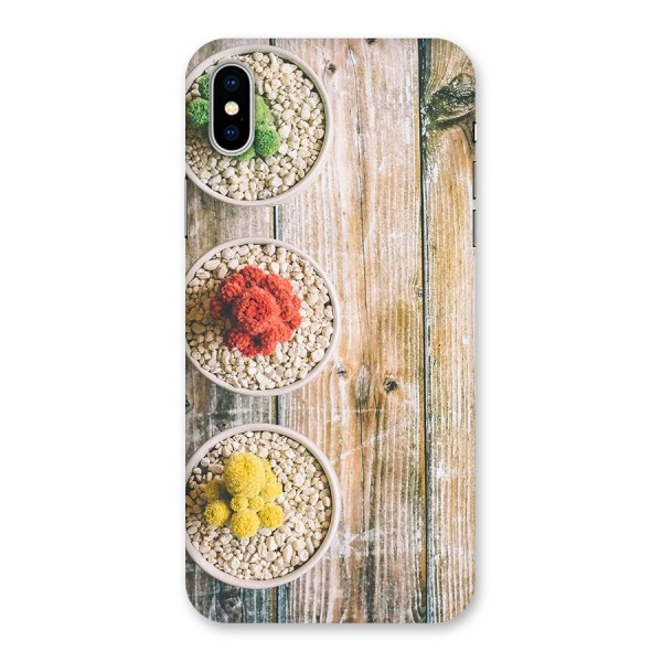 Cacti Decor Back Case for iPhone X