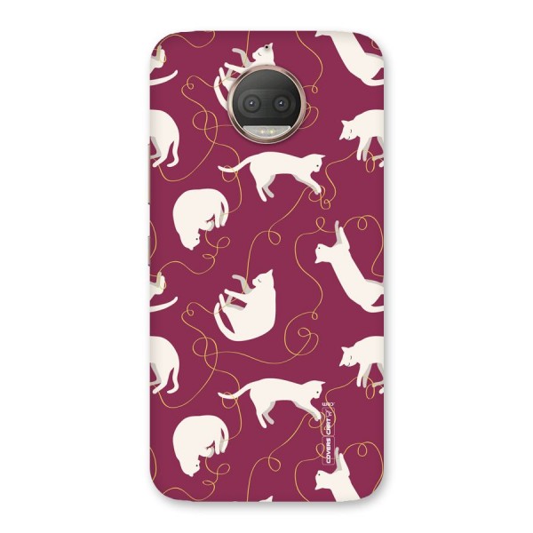Lazy Kitty Back Case for Moto G5s Plus