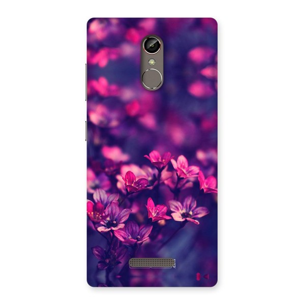Violet Floral Back Case for Gionee S6s