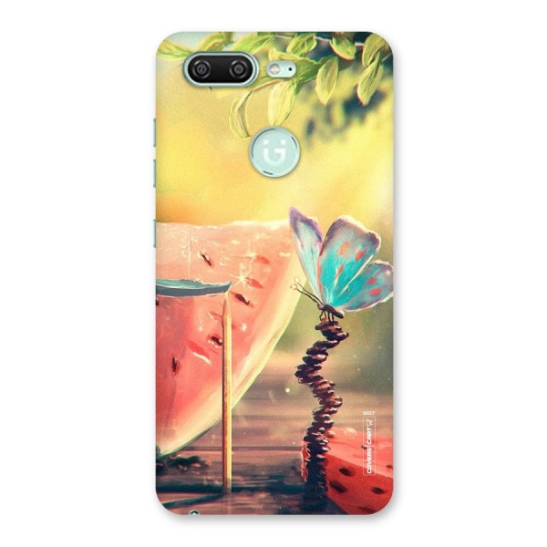 Watermelon Butterfly Back Case for Gionee S10