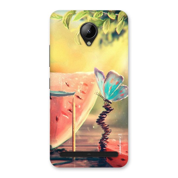 Watermelon Butterfly Back Case for Lenovo C2