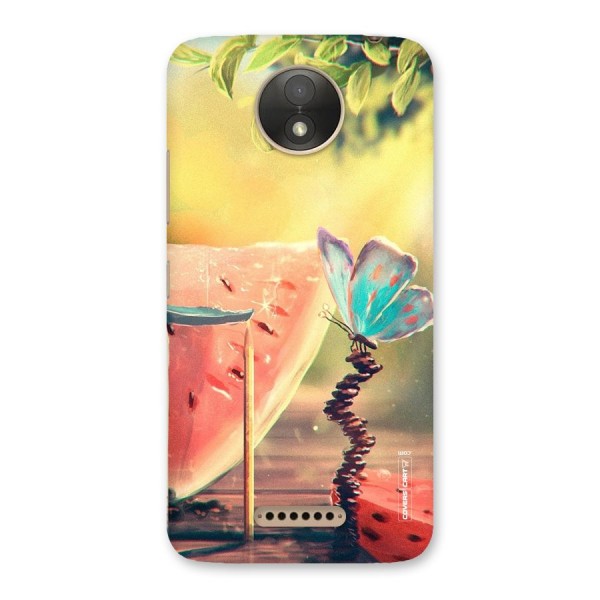 Watermelon Butterfly Back Case for Moto C Plus