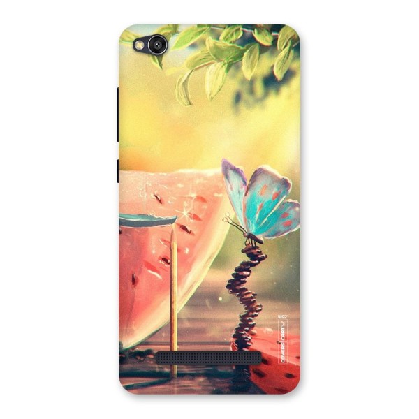 Watermelon Butterfly Back Case for Redmi 4A