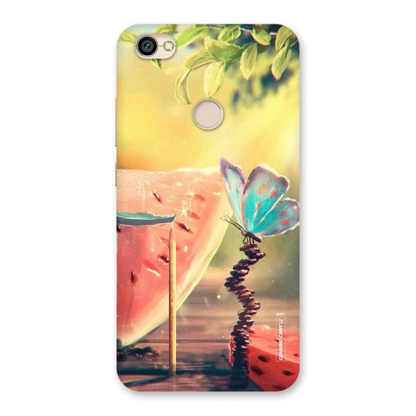 Watermelon Butterfly Back Case for Redmi Y1 2017