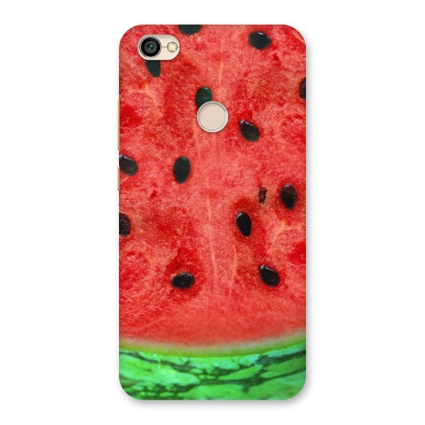 Watermelon Design Back Case for Redmi Y1 2017