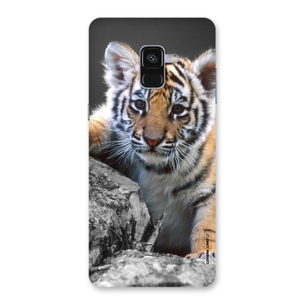 Animal Beauty Back Case for Galaxy A8 Plus