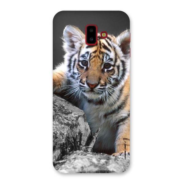 Animal Beauty Back Case for Galaxy J6 Plus