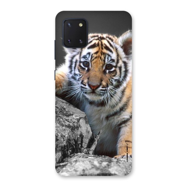 Animal Beauty Back Case for Galaxy Note 10 Lite