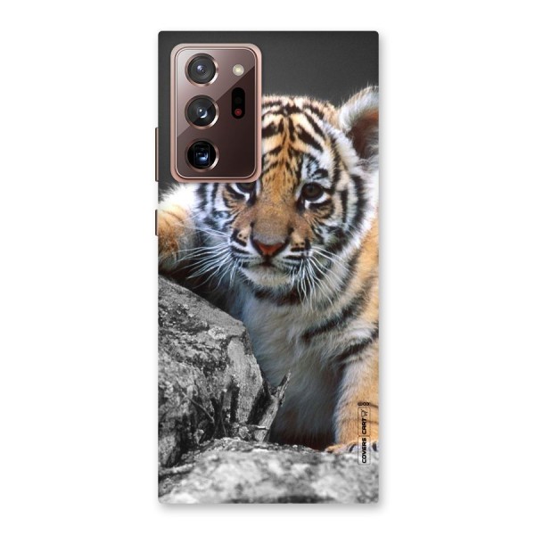 Animal Beauty Back Case for Galaxy Note 20 Ultra