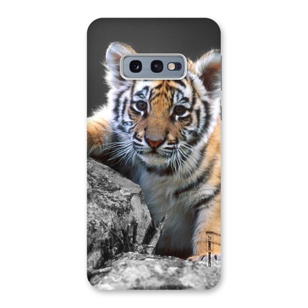 Animal Beauty Back Case for Galaxy S10e