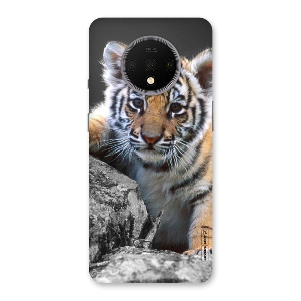 Animal Beauty Back Case for OnePlus 7T