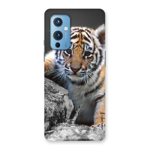 Animal Beauty Back Case for OnePlus 9