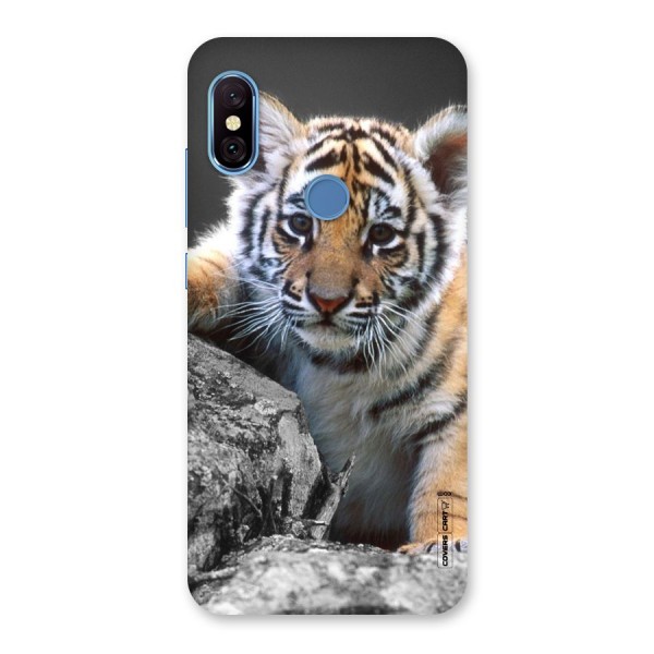 Animal Beauty Back Case for Redmi Note 6 Pro