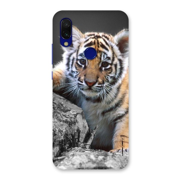 Animal Beauty Back Case for Redmi Y3