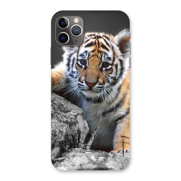 Animal Beauty Back Case for iPhone 11 Pro Max