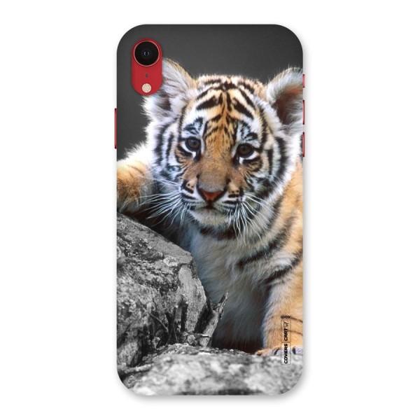 Animal Beauty Back Case for iPhone XR