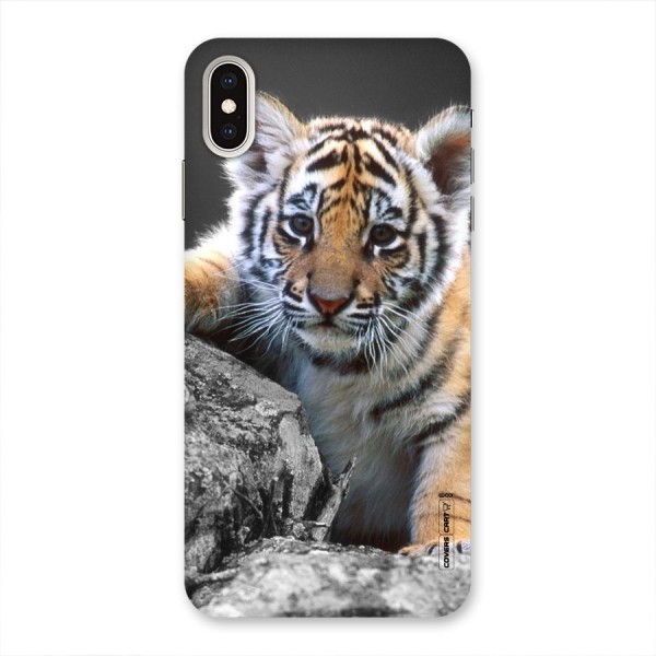 Animal Beauty Back Case for iPhone XS Max