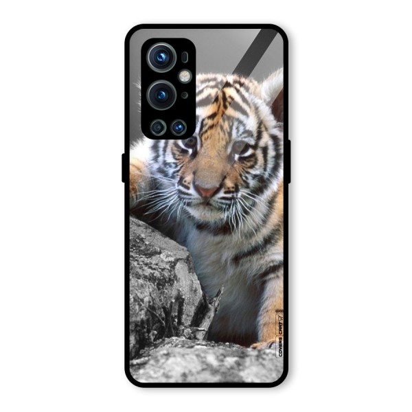 Animal Beauty Glass Back Case for OnePlus 9 Pro