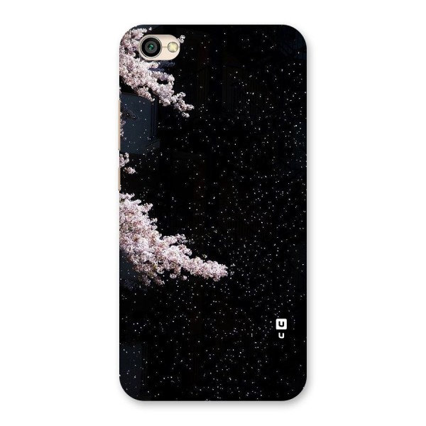 Beautiful Night Sky Flowers Back Case for Redmi Y1 Lite
