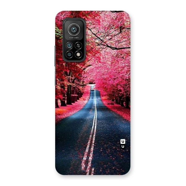 Beautiful Red Trees Back Case for Mi 10T 5G