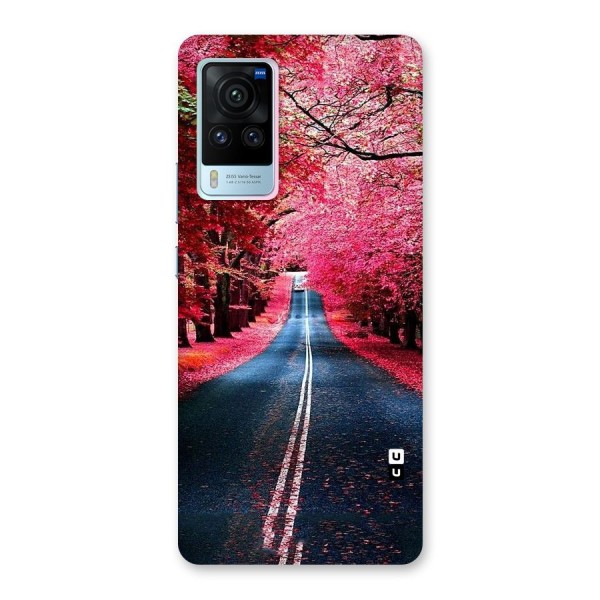 Beautiful Red Trees Back Case for Vivo X60 Pro