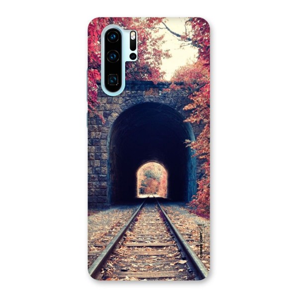 Beautiful Track Back Case for Huawei P30 Pro