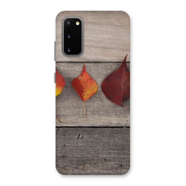 Beautiful Wood Leafs Back Case for Galaxy S20