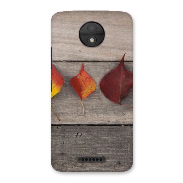 Beautiful Wood Leafs Back Case for Moto C