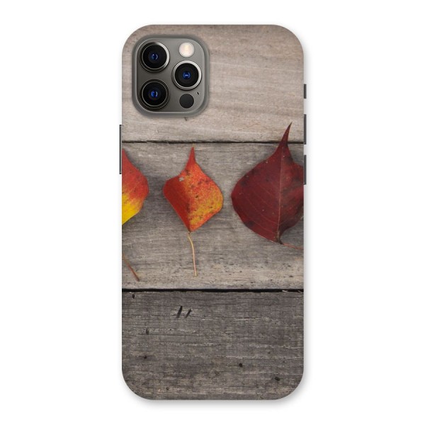 Beautiful Wood Leafs Back Case for iPhone 12 Pro