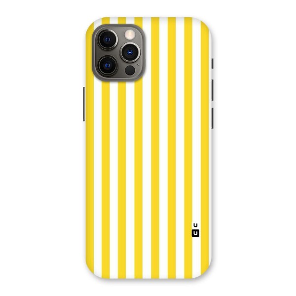 Beauty Color Stripes Back Case for iPhone 12 Pro