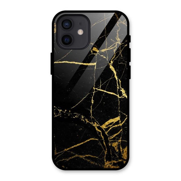 Black And Gold Design Glass Back Case for iPhone 12