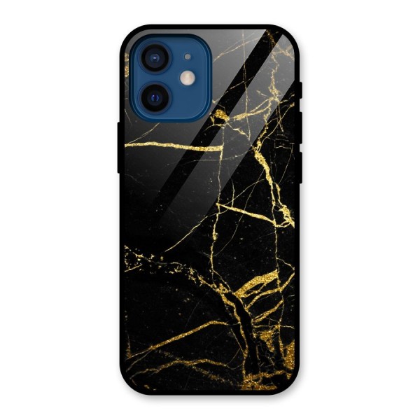 Black And Gold Design Glass Back Case for iPhone 12 Mini
