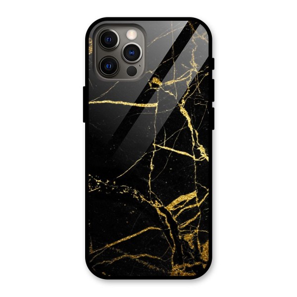 Black And Gold Design Glass Back Case for iPhone 12 Pro