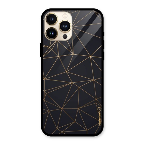 Black Golden Lines Glass Back Case for iPhone 13 Pro Max