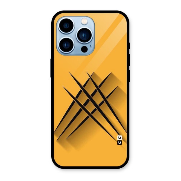 Black Paws Glass Back Case for iPhone 13 Pro