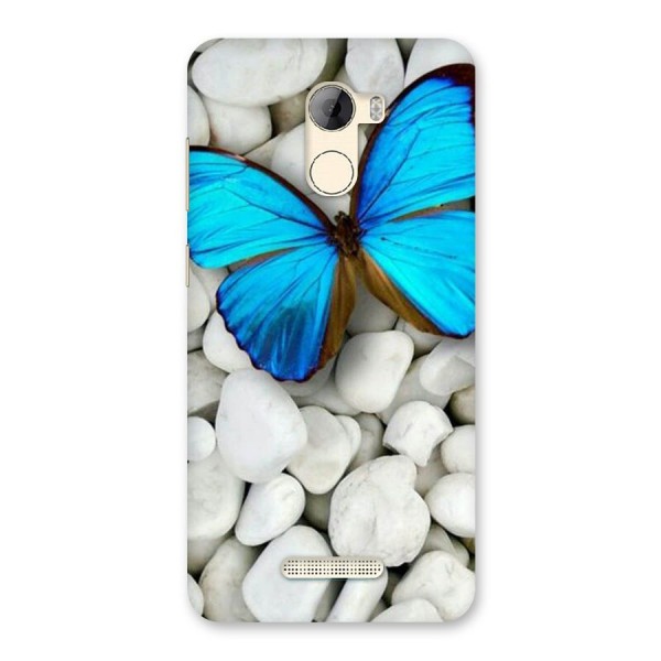 Blue Butterfly Back Case for Gionee A1 LIte