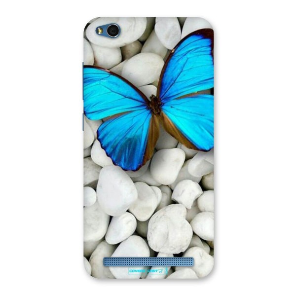 Blue Butterfly Back Case for Redmi 5A