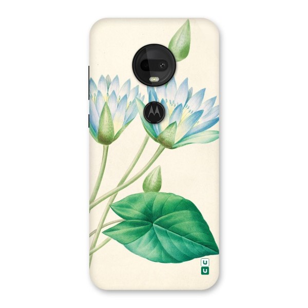 Blue Lotus Back Case for Moto G7