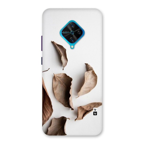 Brown Dusty Leaves Back Case for Vivo S1 Pro