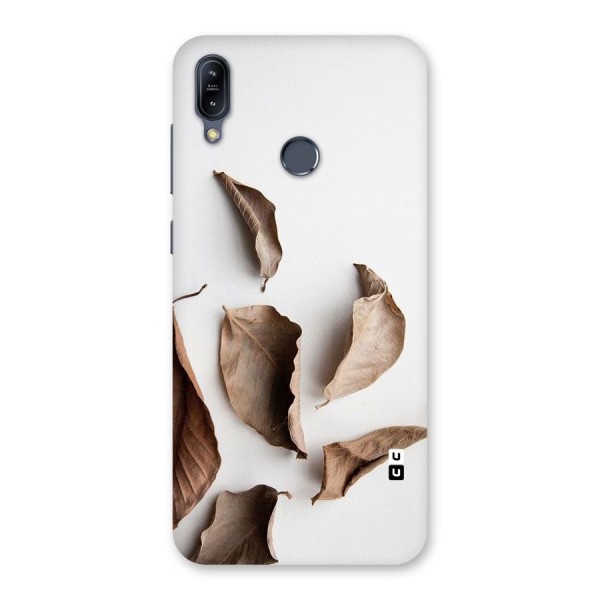 Brown Dusty Leaves Back Case for Zenfone Max M2