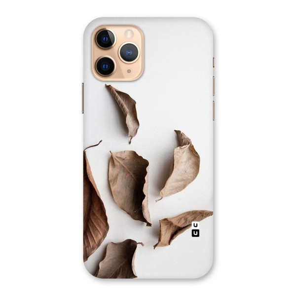 Brown Dusty Leaves Back Case for iPhone 11 Pro