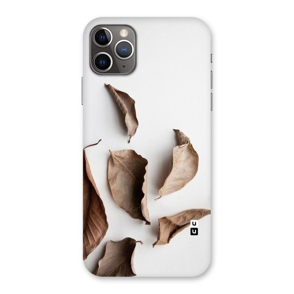 Brown Dusty Leaves Back Case for iPhone 11 Pro Max